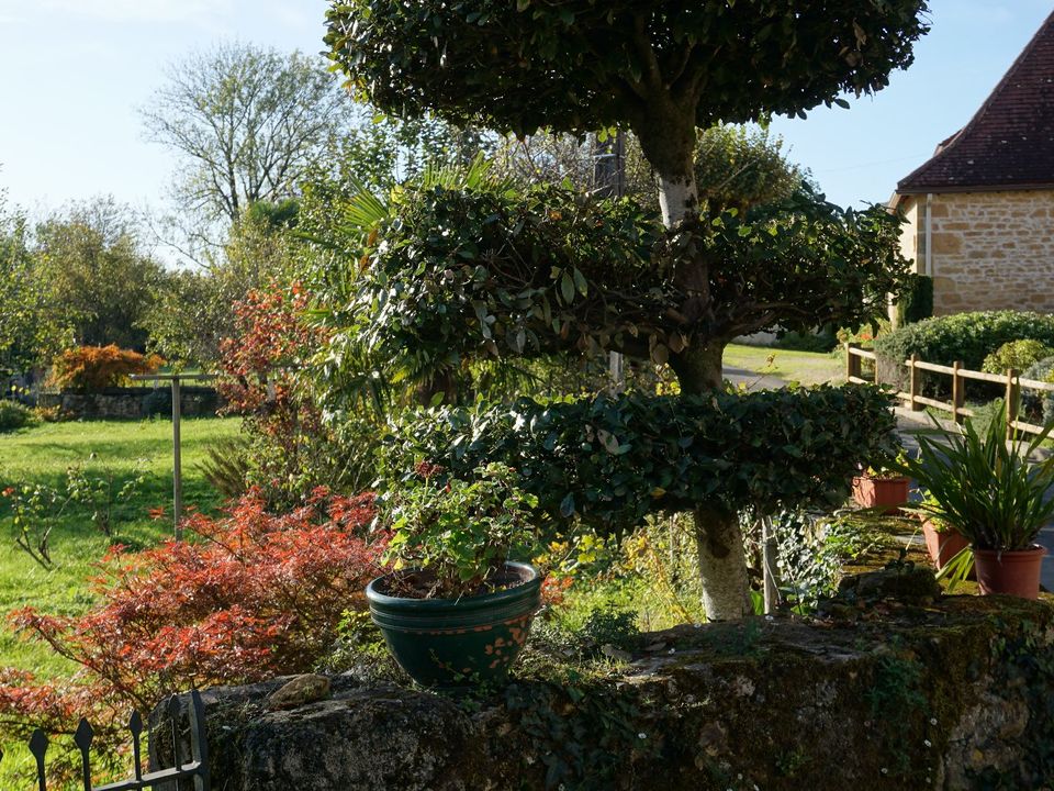 Villa a Saint-Sulpice-D'Excideuil, Dordogne - foto 5