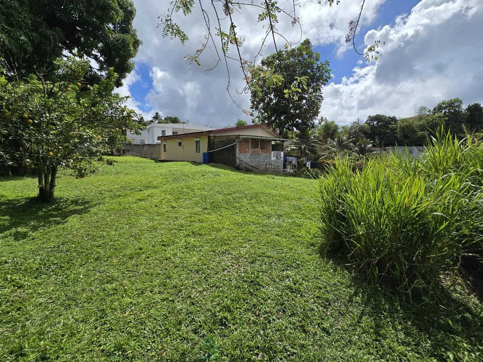 Villa in Le Morne-Rouge, Martinique - foto 4
