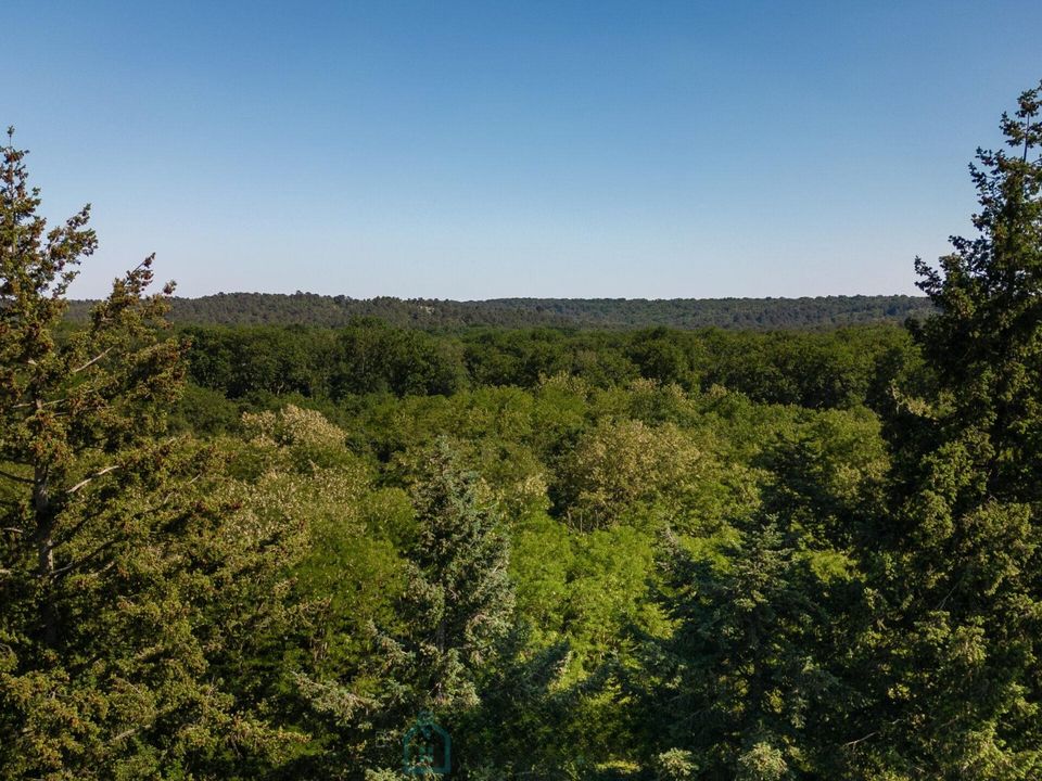Apartament: Barbizon, Seine-et-Marne – zdjęcie 4