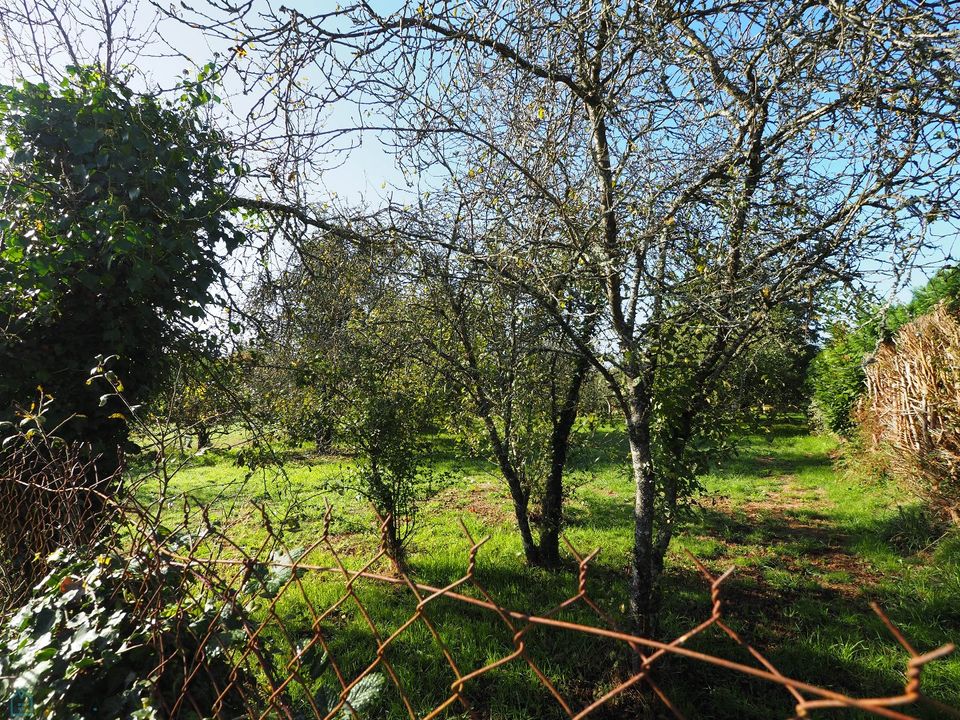 Grond in Guern, Morbihan - foto 2