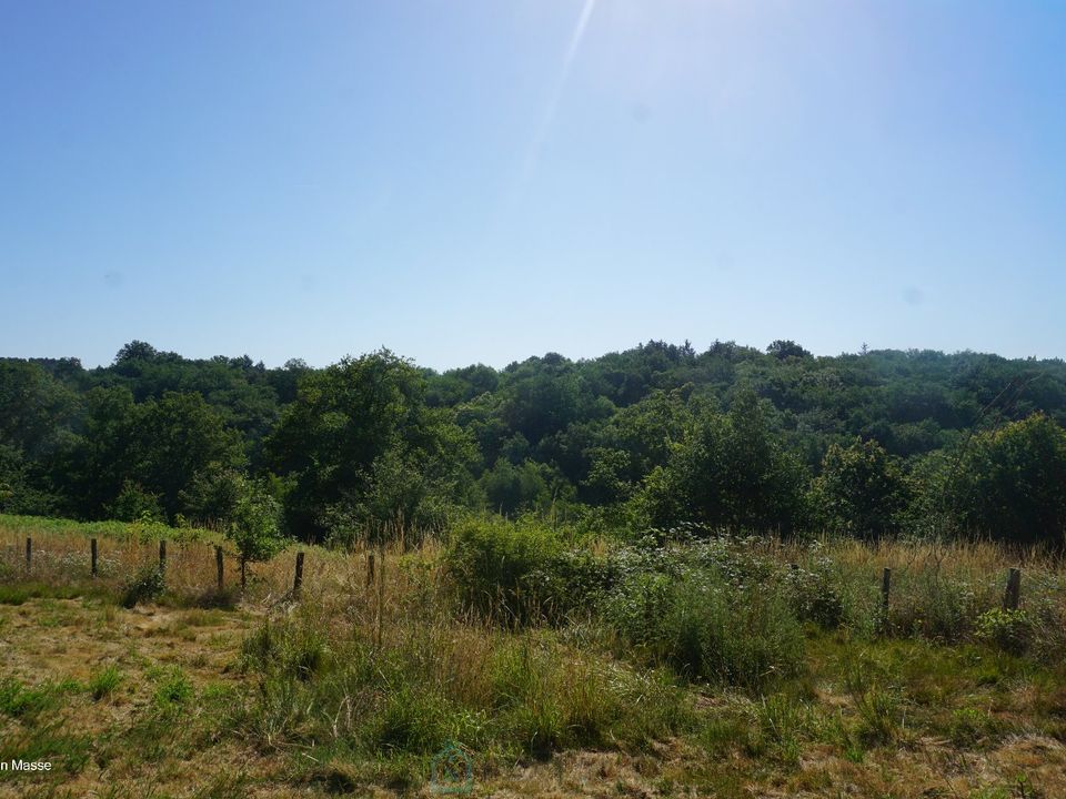 Villa a Saint-Saud-Lacoussiere, Dordogne - foto 5