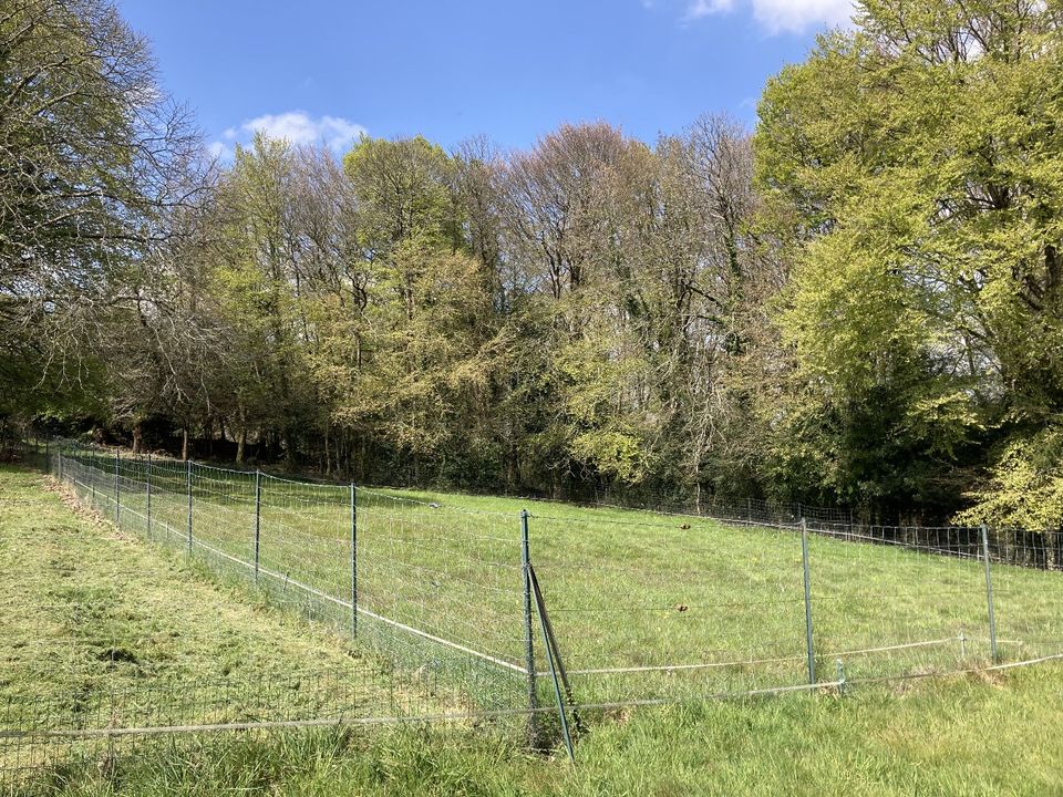 Helårsgrund i Plumeliau, Morbihan - foto 1