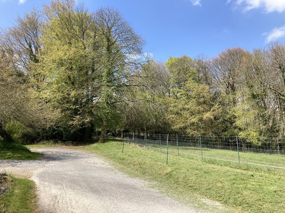 Helårsgrund i Plumeliau, Morbihan - foto 2