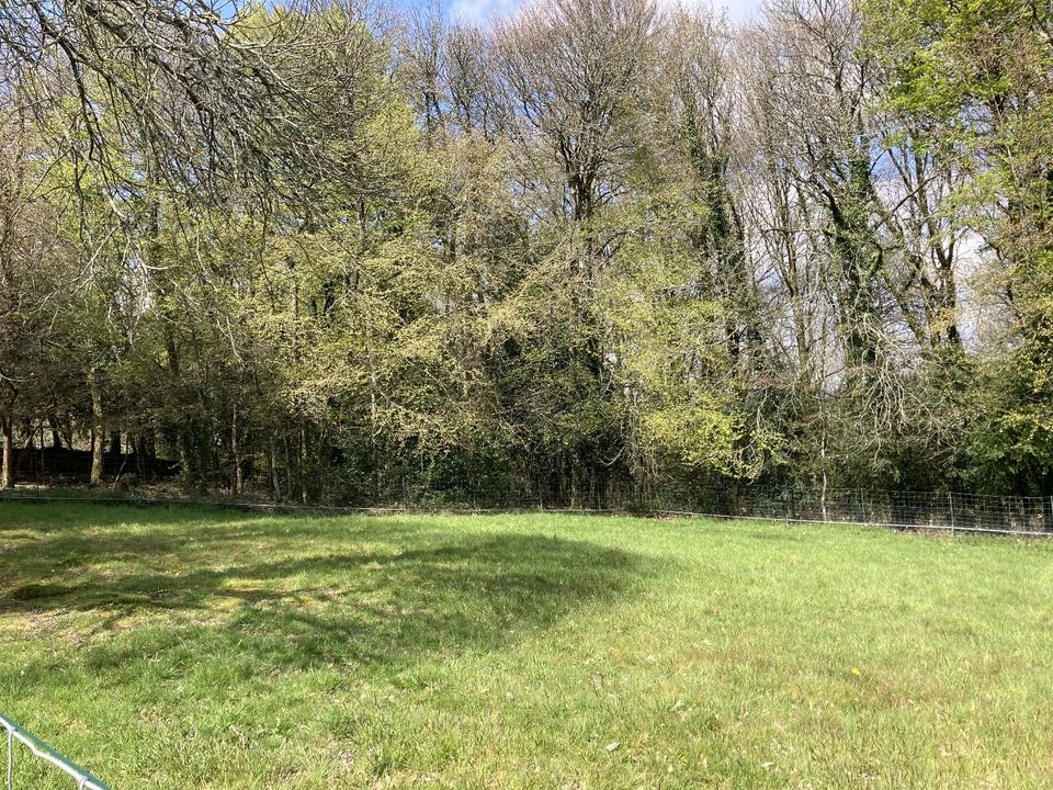 Helårsgrund i Plumeliau, Morbihan - foto 3
