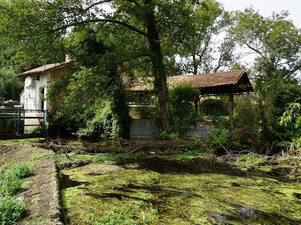 Gårdshus i Champagnac-De-Belair, Dordogne - bilde 2