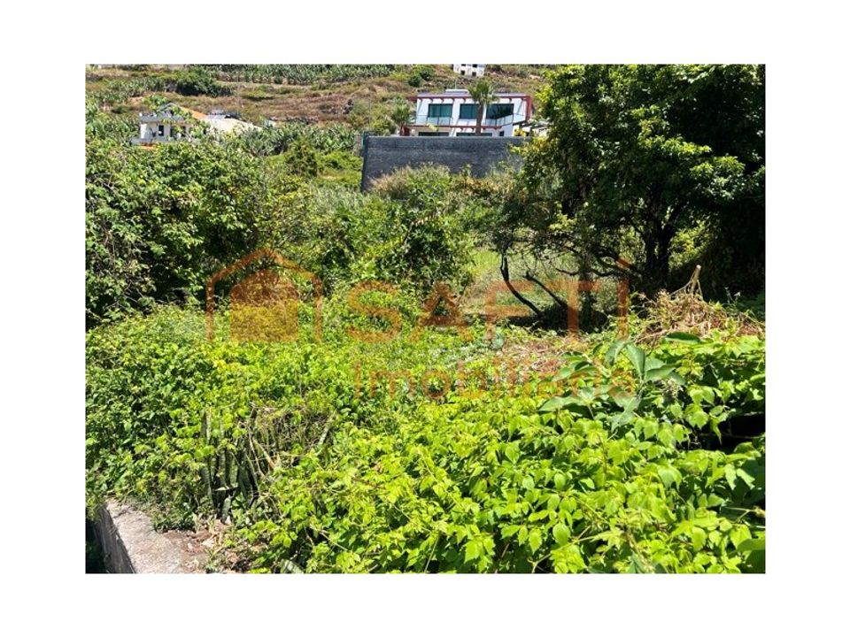 Villa i Ribeira Brava, Madeira - foto 3