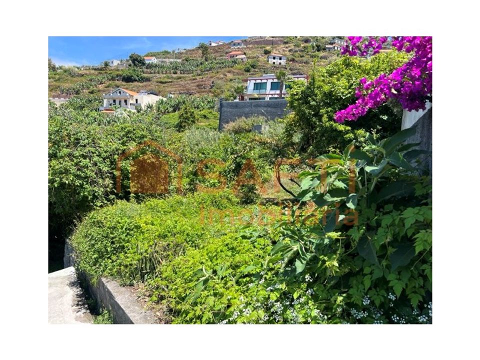 Villa i Ribeira Brava, Madeira - foto 5