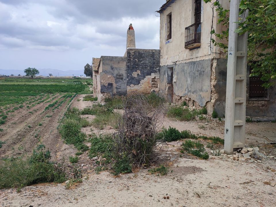 Finca i Dolores, Alicante - bilde 3