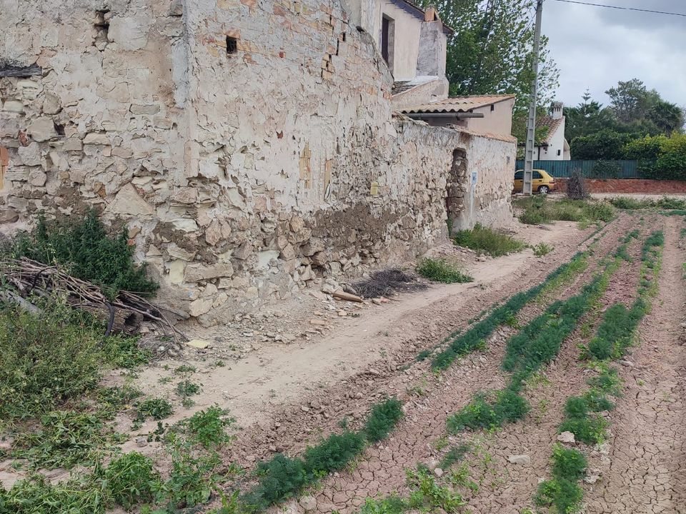 Finca i Dolores, Alicante - bilde 5
