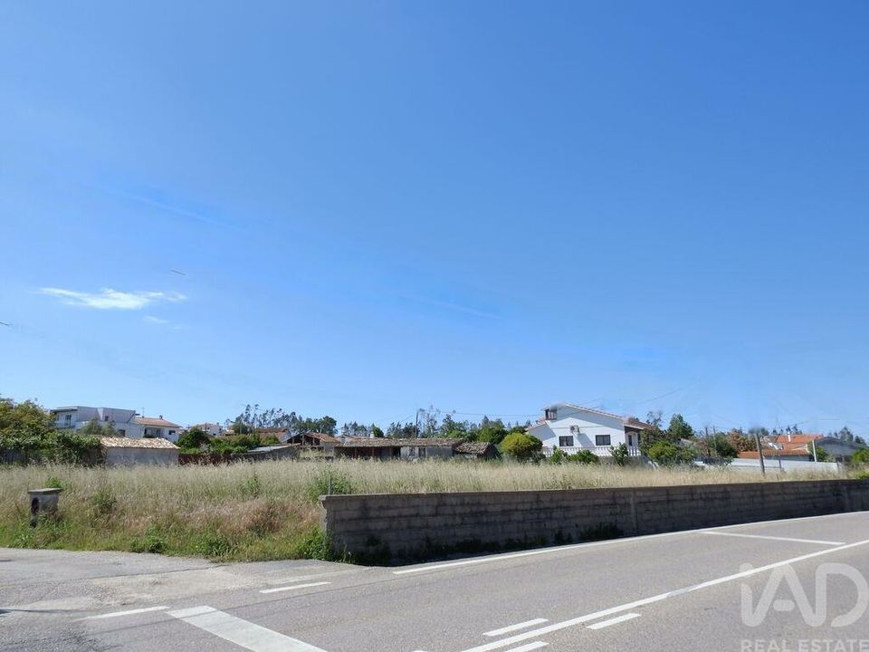Terra a Leiria, Leiria - foto 1