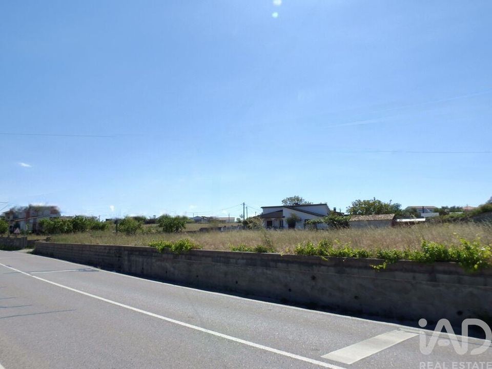 Terra a Leiria, Leiria - foto 2
