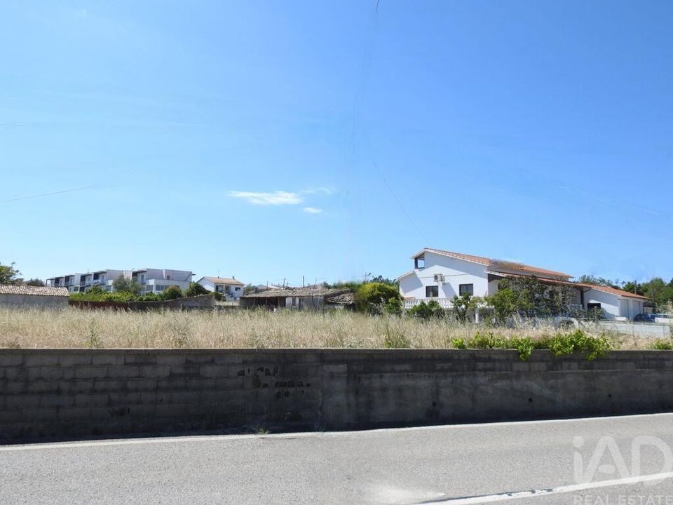 Terra a Leiria, Leiria - foto 3