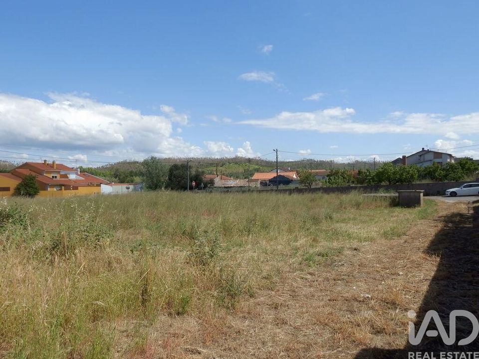 Terra a Leiria, Leiria - foto 4
