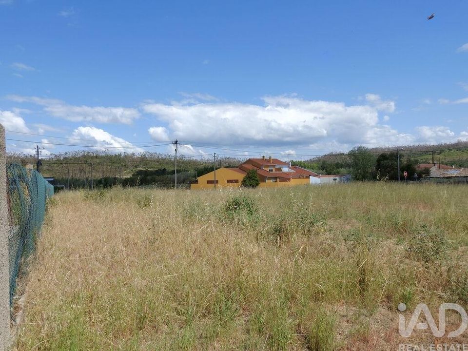 Terra a Leiria, Leiria - foto 5