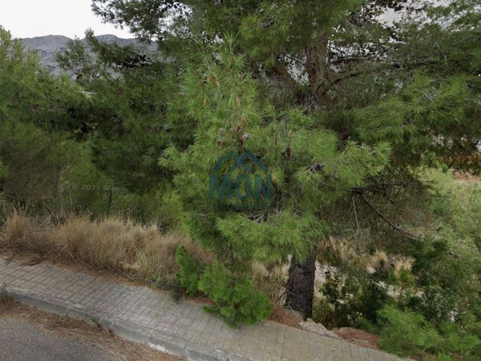 Helårsgrund i Denia, Alicante - foto 3