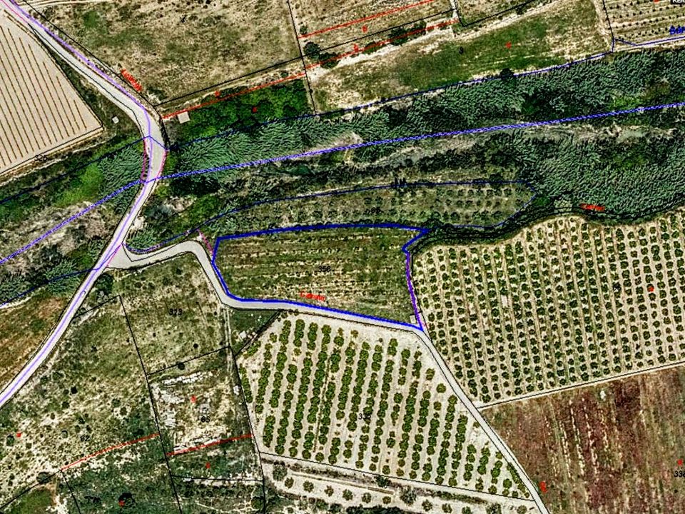 Terra a Montroy, Valencia - foto 4