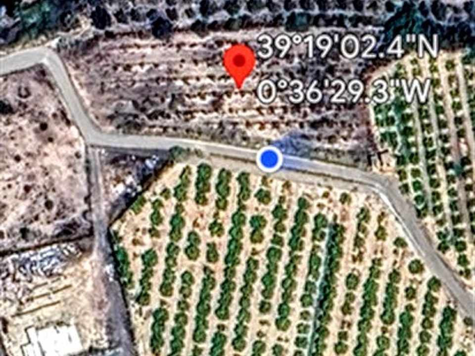 Terra a Montroy, Valencia - foto 5