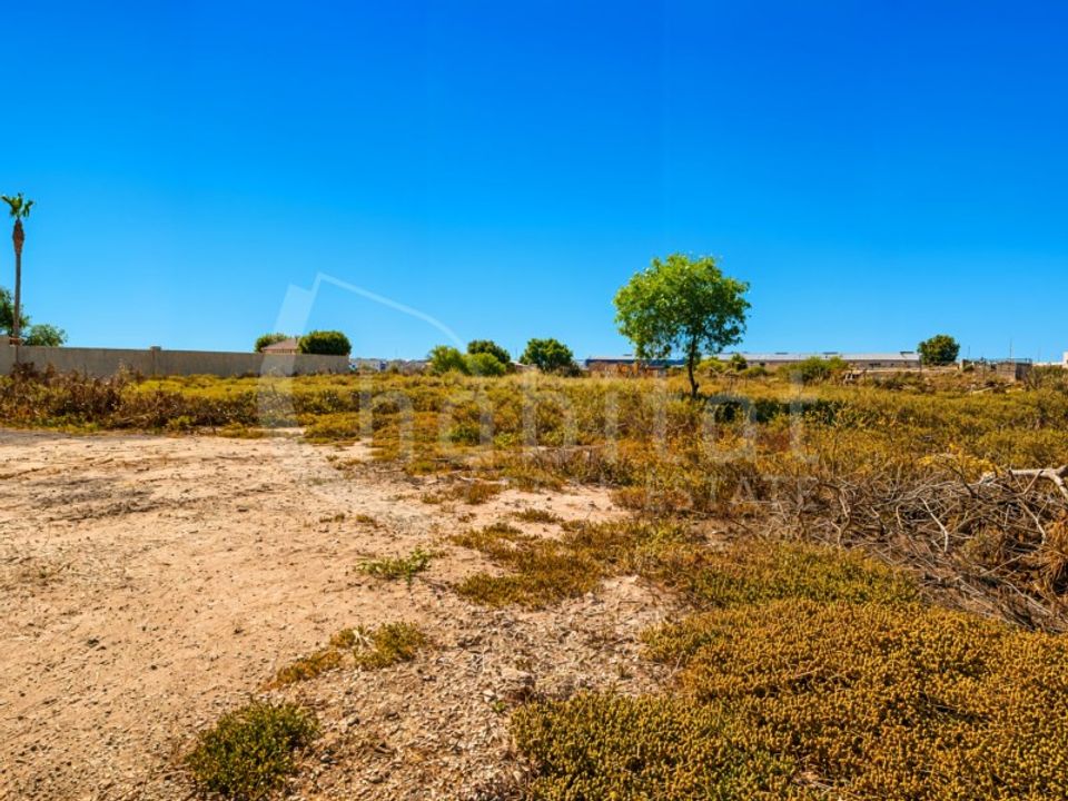Helårsgrund i Los Montesinos, Alicante - foto 4