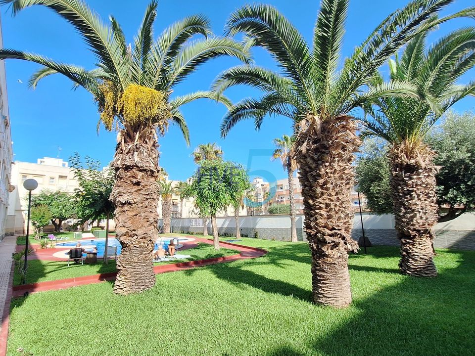 Studio i Torrevieja, Alicante - foto 3