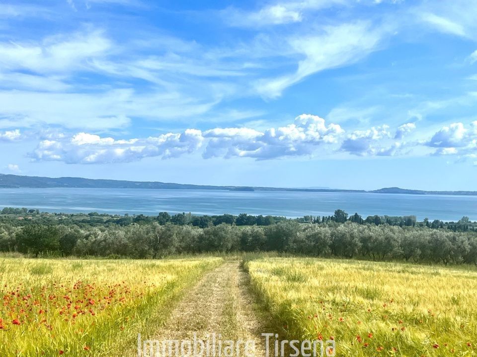 Grond in Bolsena, Viterbo - foto 1