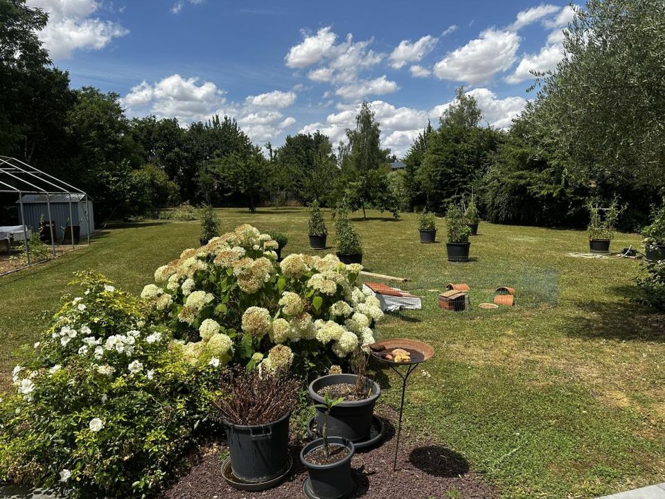 Bungalow i Saint-Amand-Longpré, Loir-et-Cher - foto 4