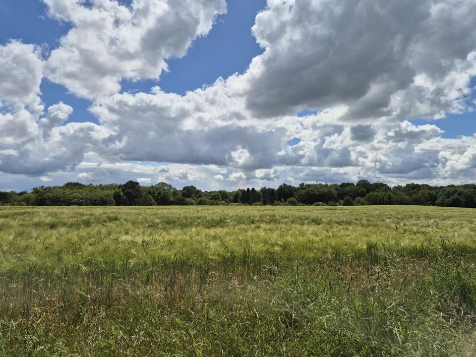 Villa en Billé, Ille-et-Vilaine - foto 4
