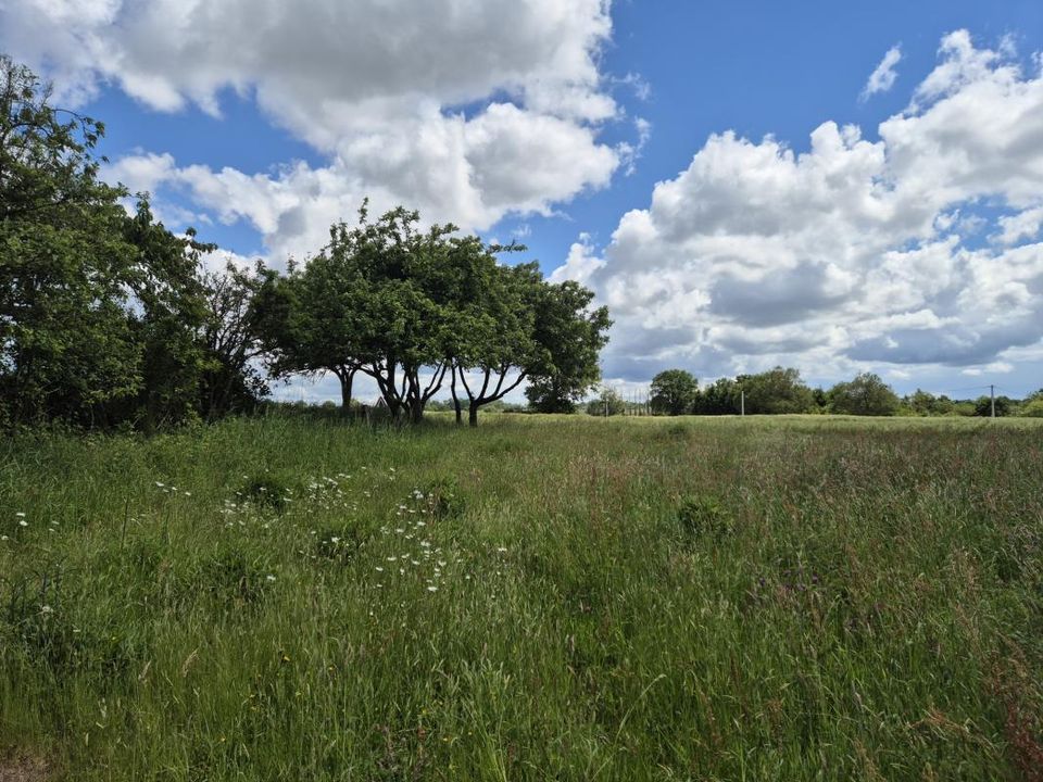Villa en Billé, Ille-et-Vilaine - foto 5