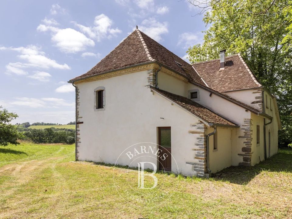 Landhaus in Sauveterre-de-Bearn, Pyrenees-Atlantiques - Foto 4