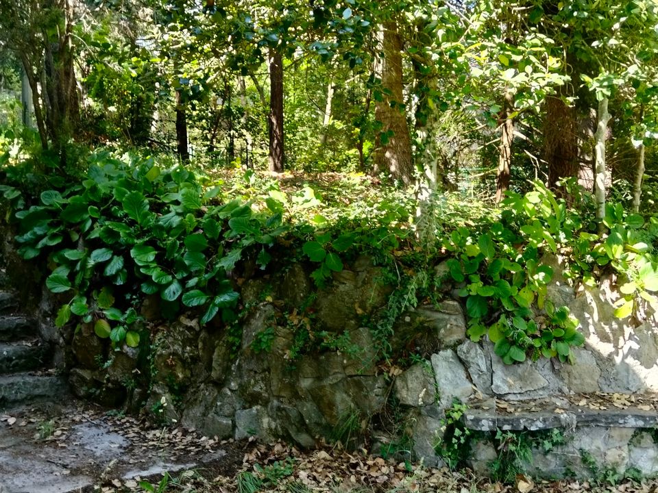 Villa i Sanremo, Imperia - foto 4