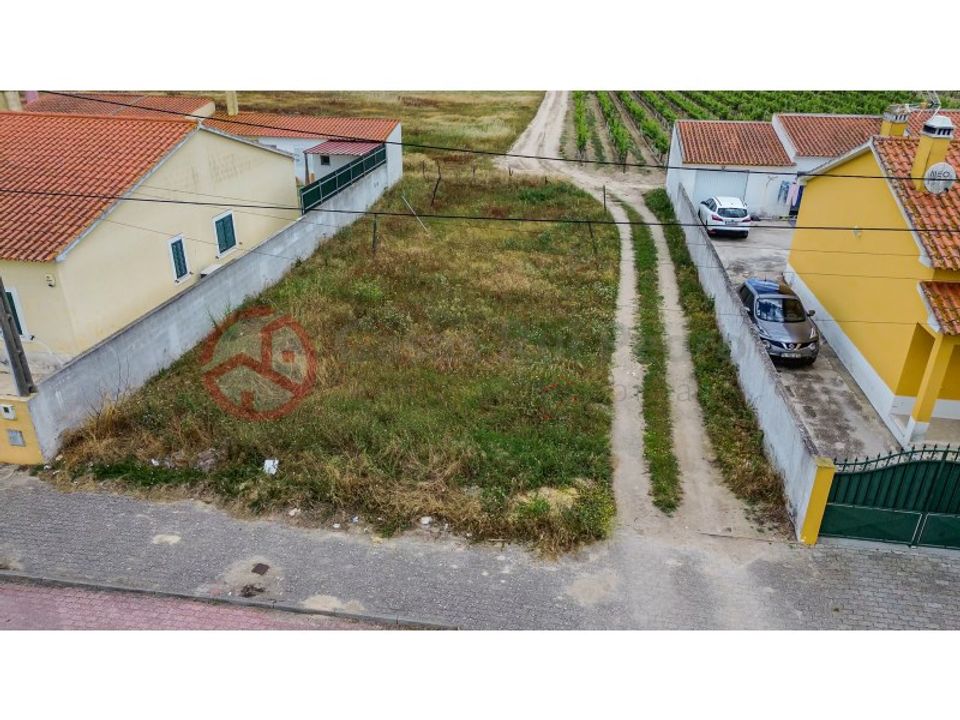 Villa i Muge, Santarem - foto 4