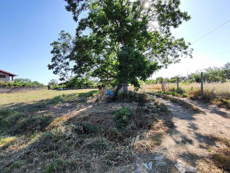 Erhvervsejendom i Guidonia Montecelio, Rome - foto 5