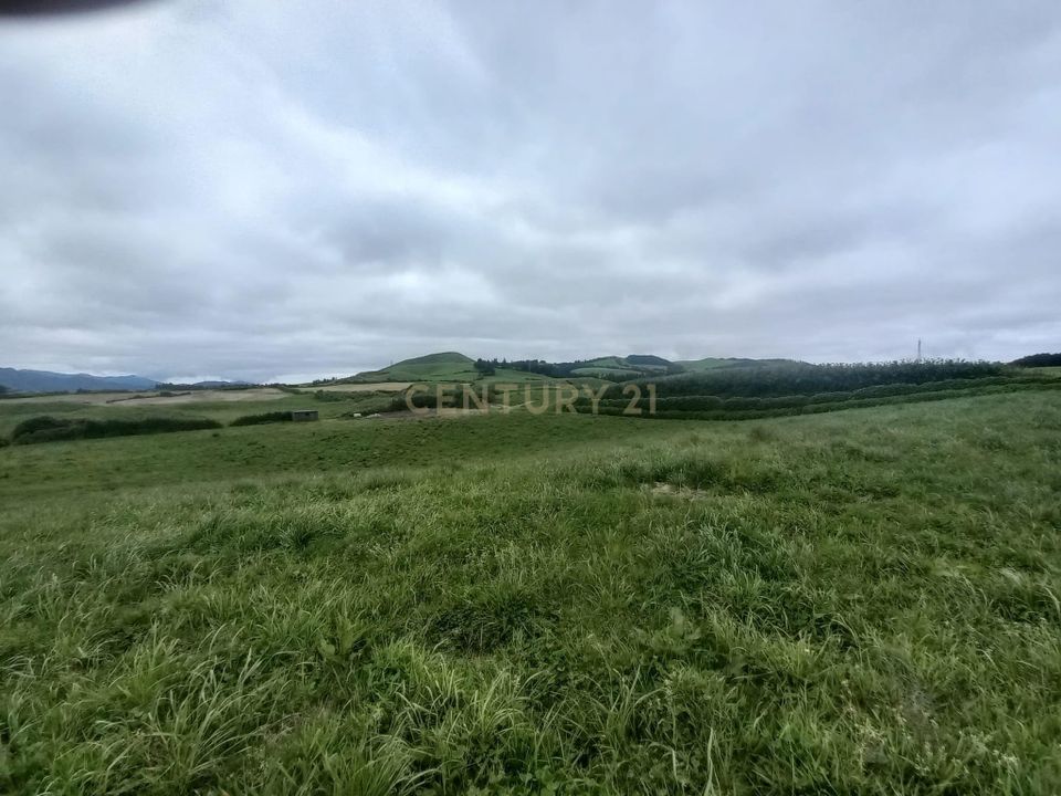 Helårsgrund i Vila Franca do Campo, Sao Miguel - foto 2