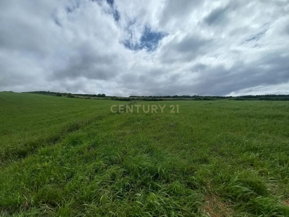 Helårsgrund i Vila Franca do Campo, Sao Miguel - foto 2