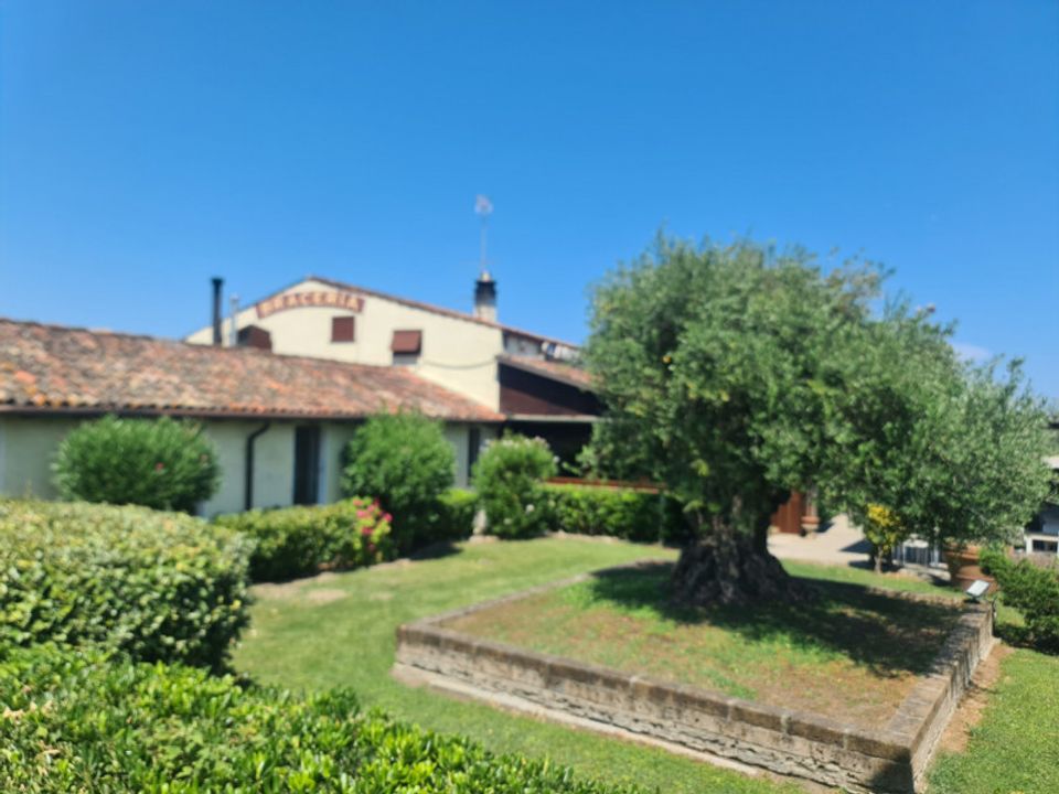 Propriedade comercial em Comacchio, Ferrara - foto 1