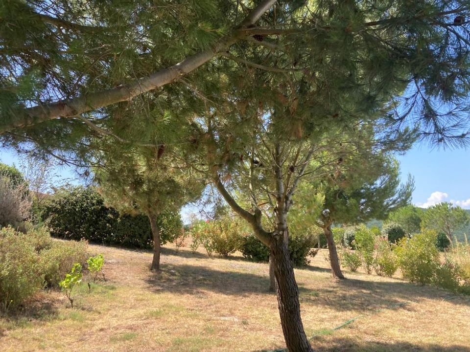 Villa - Montclar, Aude - photo 5
