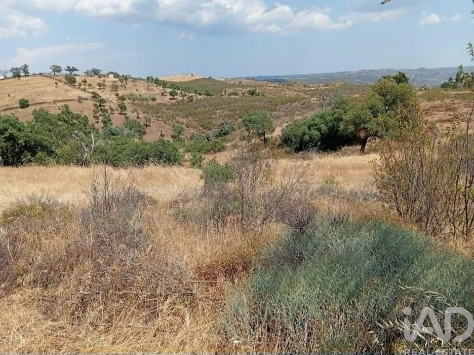 Tomt i Almodovar, Beja - foto 1