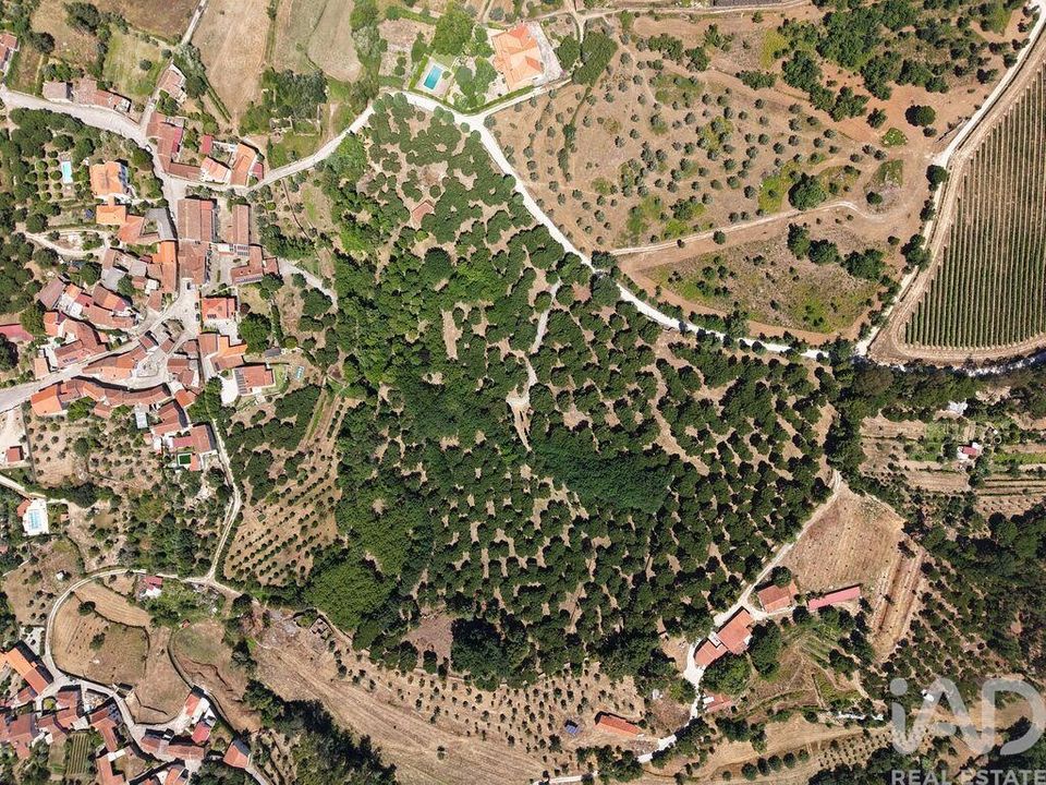 Grundstück in Carregal do Sal, Viseu - Foto 2
