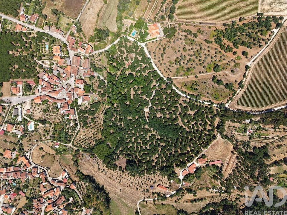 Grundstück in Carregal do Sal, Viseu - Foto 3