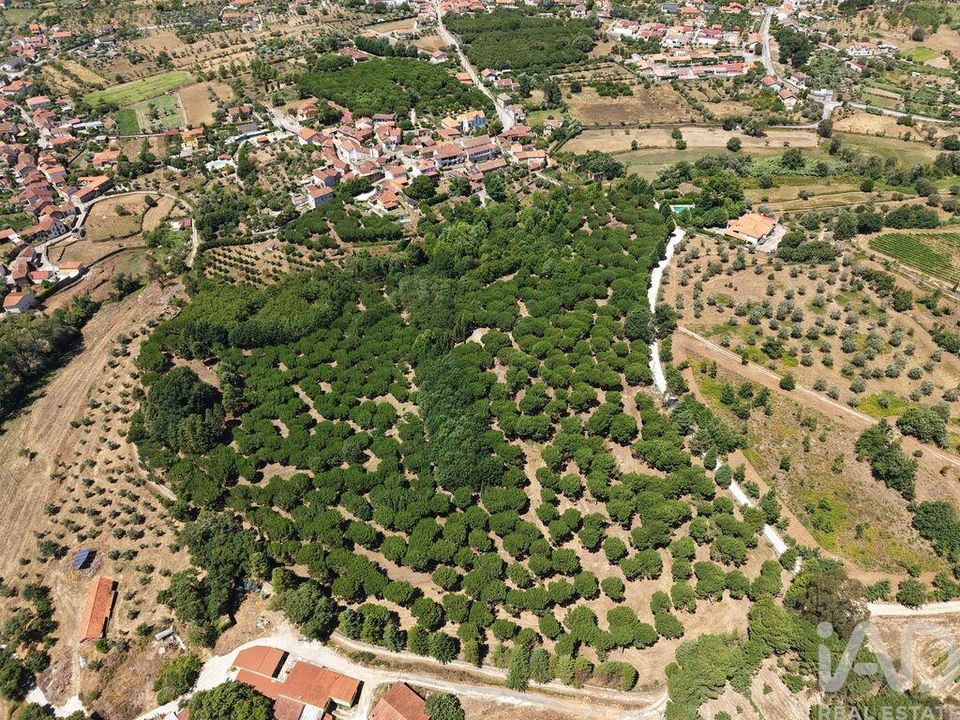Grundstück in Carregal do Sal, Viseu - Foto 4