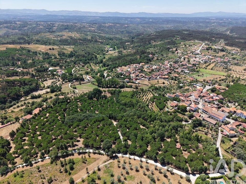 Grundstück in Carregal do Sal, Viseu - Foto 5