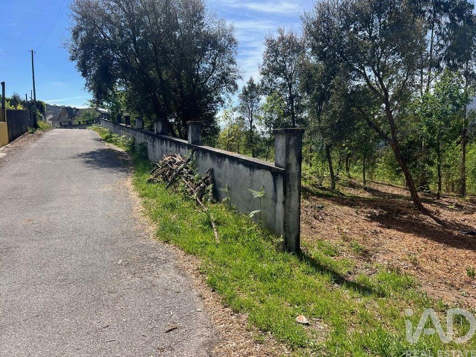Tomt i Sao Pedro do Sul, Viseu - bilde 3