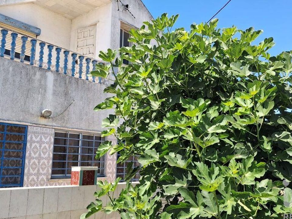 Terra em Seixal, Setubal - foto 5
