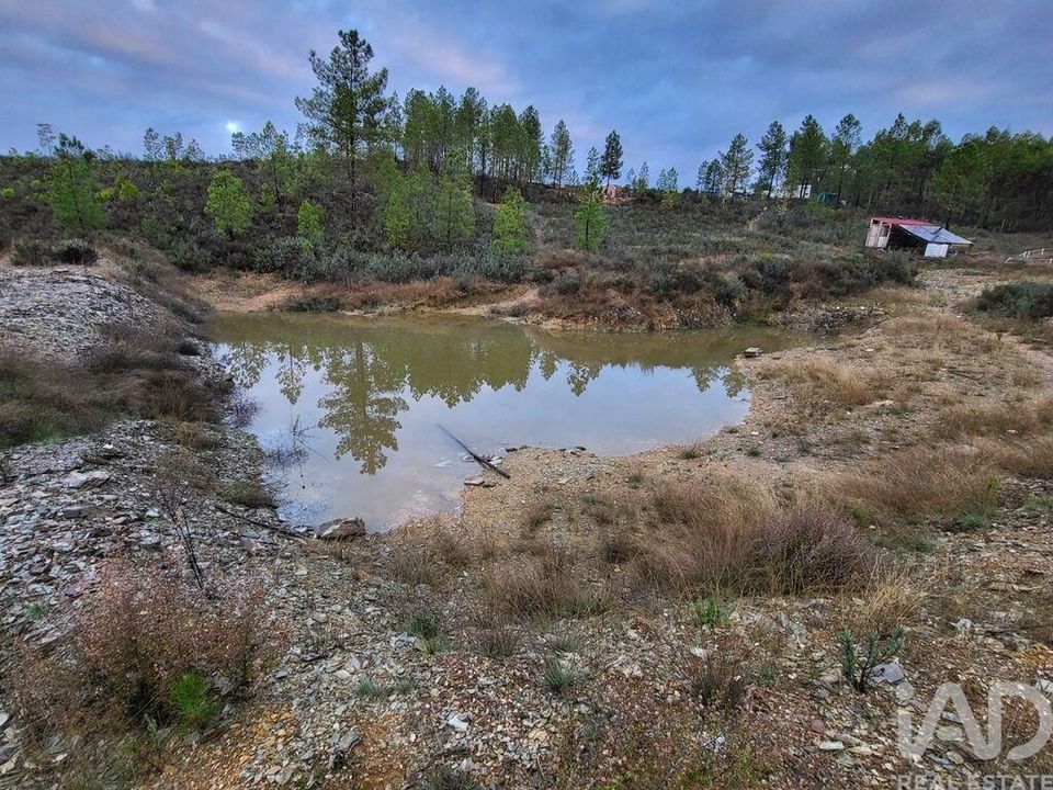 Terreno en Castelo Branco, Castelo Branco - foto 3