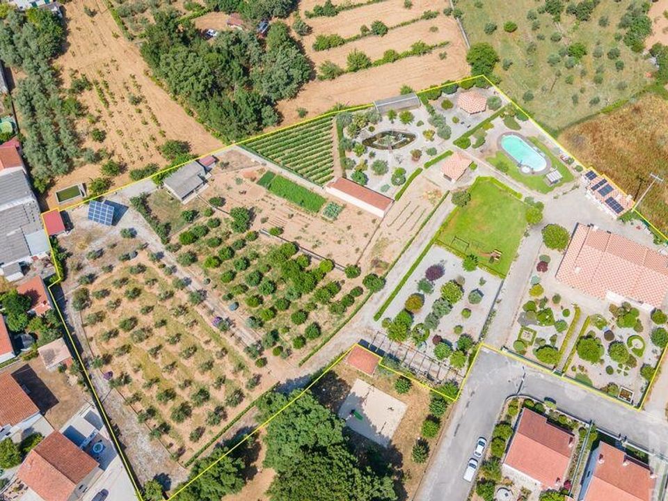 Boerderij in Tabua, Coimbra - foto 2