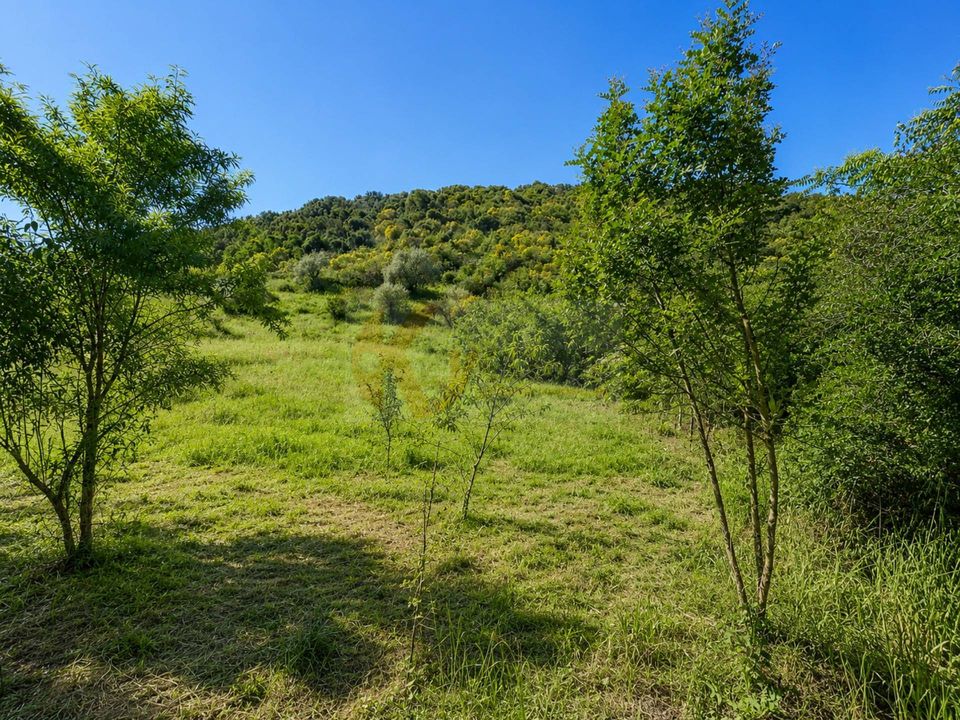 Terra a Codrongianos, Sassari - foto 1