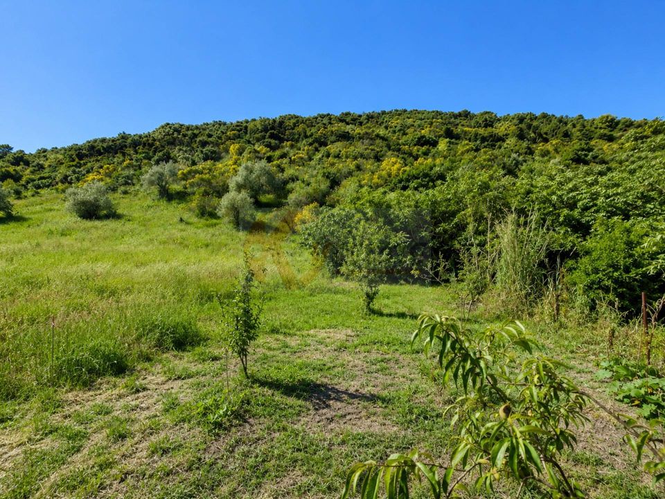 Terra a Codrongianos, Sassari - foto 2