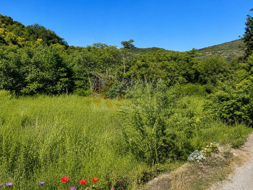 Terra a Codrongianos, Sassari - foto 5