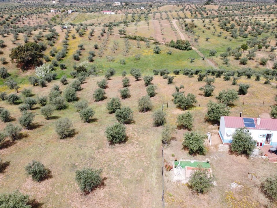 Helårsgrund i Amieira e Alqueva, Evora - foto 4