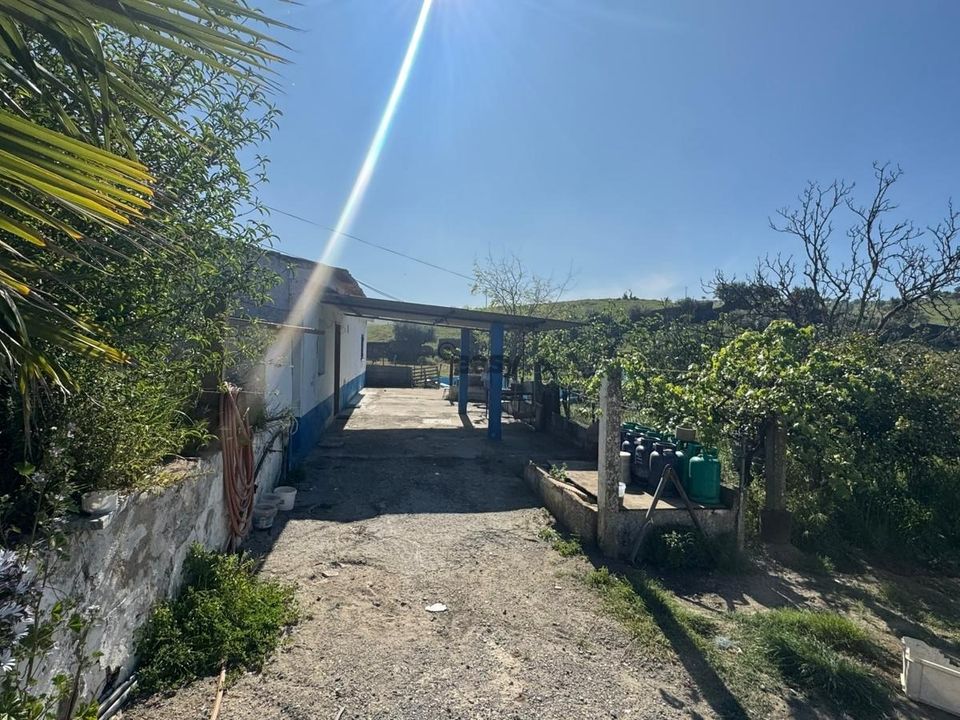 Granja en Aljustrel, Beja - foto 4