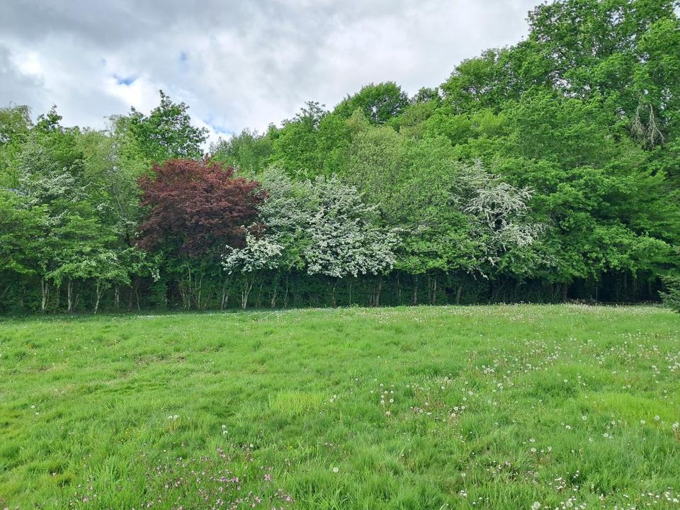 Terreno en Bassens, Gironde - foto 1